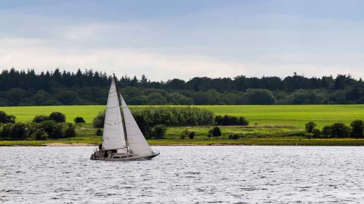 Segelboot im Fjord von Roskilde, Dänemark