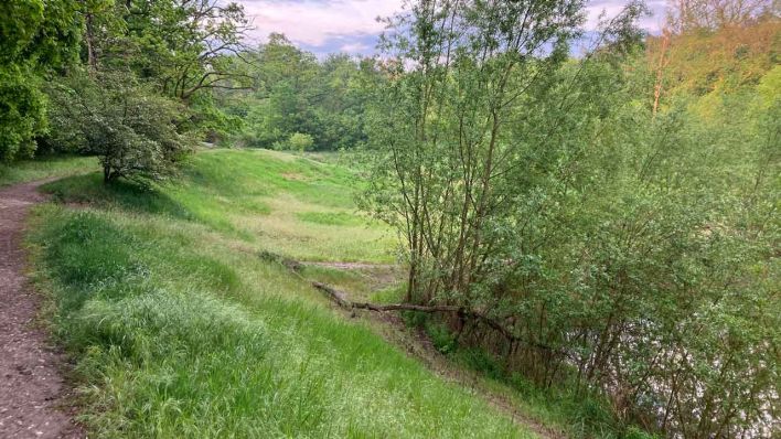 Das ehemalie Stauseebecken (Bild: rbb/Thomas Rautenberg)