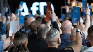 Delegierte auf einem Landesparteitag der AfD - im Hintergrund ein "AfD"-Schriftzug in Neonfarben. (Quelle: Picture Alliance)