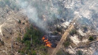 Eine Aufnahme einer Drohne zeigt einen Waldbrand in einem munitionsbelasteten Gebiet bei Jüterbog (Teltow-Fläming).