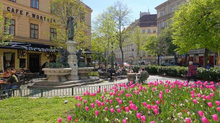 Ein Café in Wien mit einem Tulpenbeet