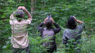 Forstfachleute begutachten einen Laubwald.