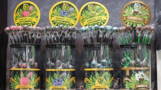 ARCHIV: Cannabis-Lollies werden auf der Messe "Mary Jane Berlin 2022" in der Arena Berlin zum Kauf angeboten