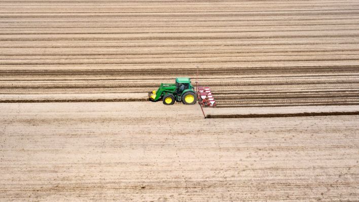 Die goldenen Preismonate der Landwirte sind vorbei | rbb24 Inforadio