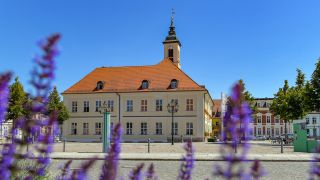 Der Marktplatz mit dem Rathaus von Angermünde (Bild: dpa / Patrick Pleul)