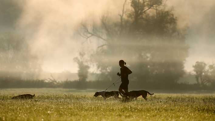 Eine Frau läuft am Morgen mit ihren Hunden durch ein Naturschutzgebiet.