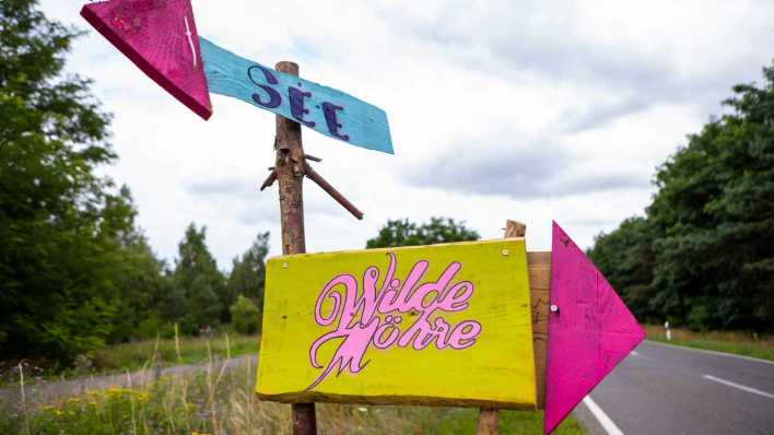 ARCHIV: Hinweisschilderzum Musikfestivals "Wilde Möhre" (Bild: picture alliance / Andreas Franke)