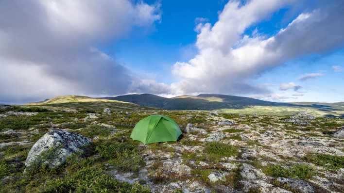 Ein grünes Zelt für zwei Personen steht in der Natur. (Quelle: Picture Alliance)