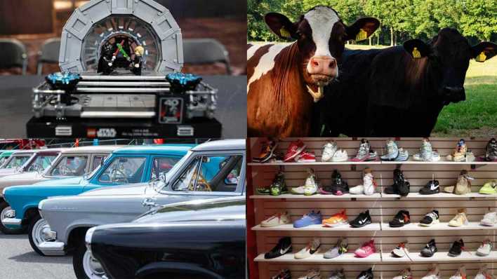 Collage Investitionen (Bild: picture alliance/imago)