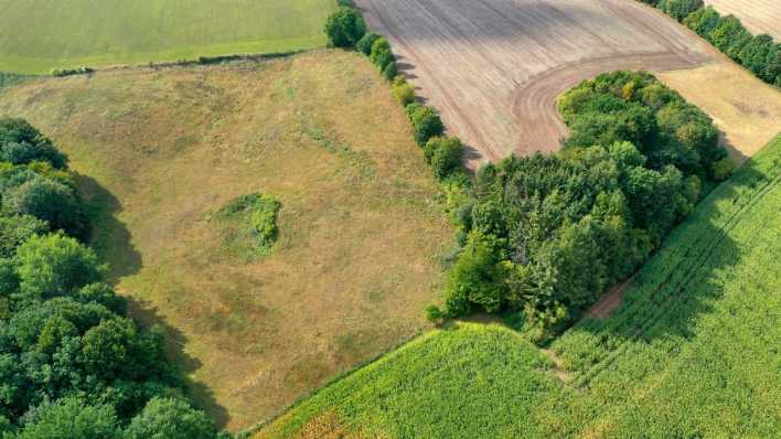 Eine Luftbildaufnahme einer Drohne zeigt die Beschaffenheit unterschiedlicher Ackerfelder (Bild: picture alliance / blickwinkel)