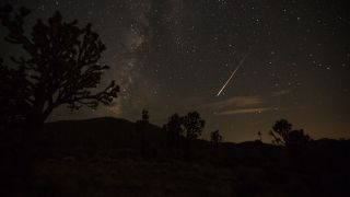 Eine Sternschnuppe aus dem Sternschnuppenstrom der Perseiden erzeugt über der Mojave-Wüste in den USA einen Streifen am Himmel (Bild: Richard Brian/Las Vegas Review-Journal/AP/dpa)