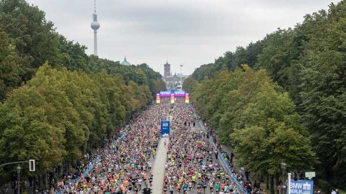 Die Teilnehmer des Berlin Marathon 2023 beim Start. (Bild: picture alliance/dpa | Paul Zinken)