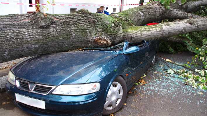 Ein Baum ist nach Sturm in Berlin auf ein Auto gefallen