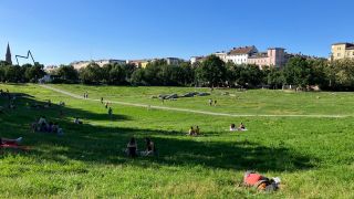 Ein Sommertag im Görlitzer Park
