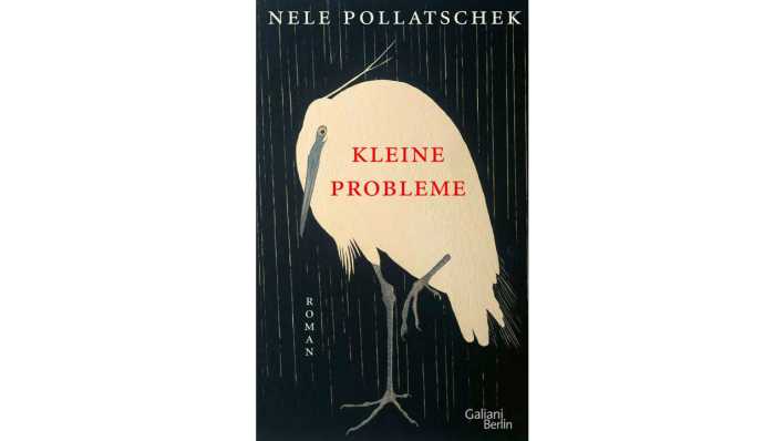 Cover "Kleine Probleme" von Nele Pollatscheck