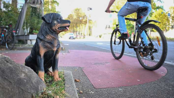 Ein bellender Plastikhund steht an einem Gehweg, während ein Radfahrer auf dem Gehweg vorbeifährt (gestellte Szene)