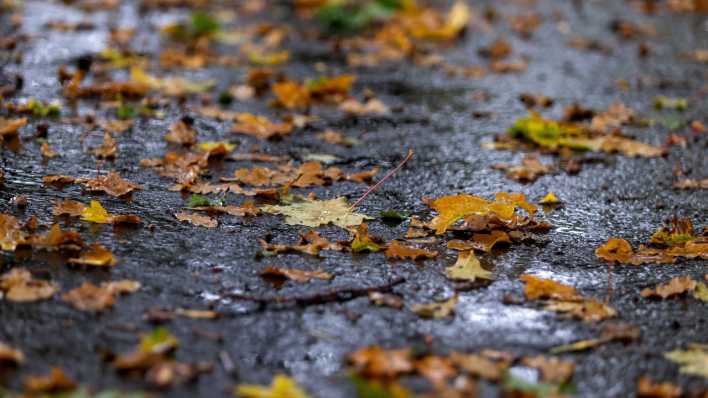 Buntes Herbstlaub liegt auf einer regennassen Strasse (Bild: picture alliance / Andreas Franke)