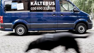 Ein Hund läuft vor an einem Kältebus der Berliner Stadtmission vorbei.