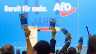 Symbolbild: Delegierte der AfD