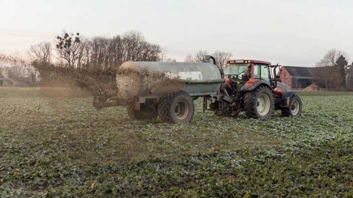 Ein Landwirt fährt mit einem Güllefass über ein angefrorenes Rapsfeld.