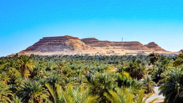 Blick auf die Oase Siwa in Ägypten (Foto: imago images / Wirestock)