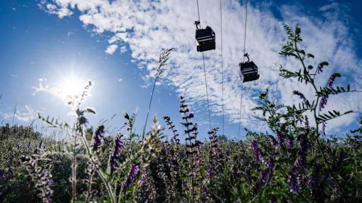 Die Seilbahn in den Gärten der Welt in Marzahn-Hellersdorf schwebt bei sonnigem Wetter über einer Blumenwiese (Bild: picture alliance/dpa/dpa-Zentralbild | Jens Kalaene)