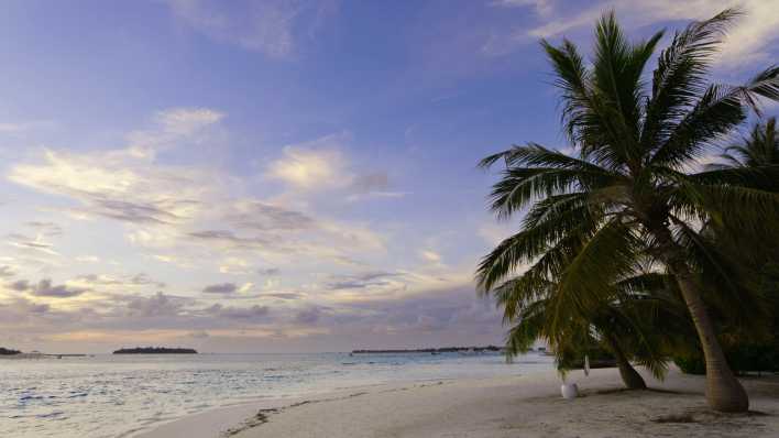 Ein Strand in Tonga (Foto: imago images / Pond5 Images)