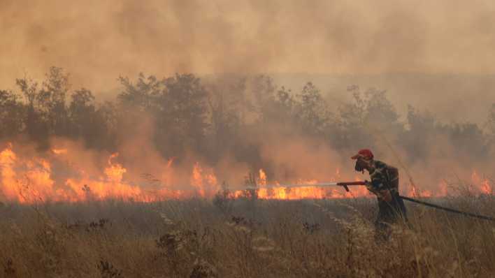 Ein Feuerwehrmann versucht einen Waldbrand in der griechischen Region Maritsa zu löschen.