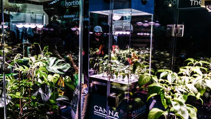 ARCHIV: Hanfmesse Mary Jane in Berlin im Jahr 2021