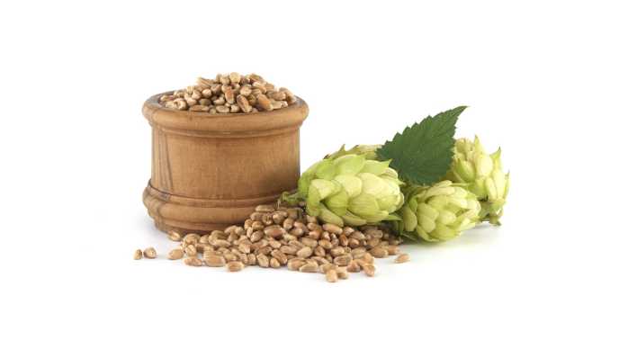 Holzfass mit Hopfen