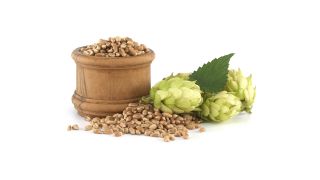 Holzfass mit Hopfen