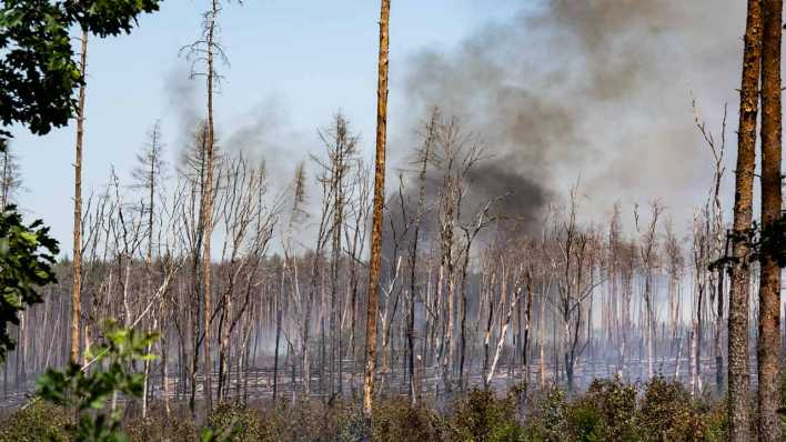 Waldbrand im Brandenburgischen Jüterborg