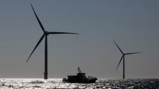 Windräder in der Ostsee - auch sie müssen mit Bedacht platziert werden, damit sie möglichst wenig schaden.