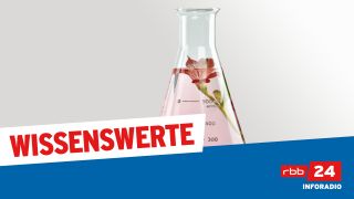 Wissenswerte