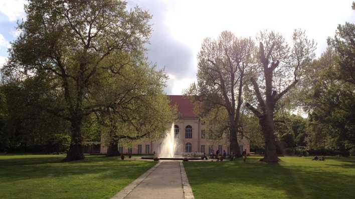 Schlossgarten Schönhausen - Foto: rbb Inforadio/Nadine Kreuzahler