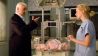 Szenenfoto aus Tödliche Verprechen mit Armin Mueller-Stahl und Naomi Watts (Bild: ARD-Foto/SWR/Degeto)