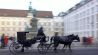 Fiaker (Pferdekutschen) sind beliebte Transportmittel für Touristen - Foto: Colourbox