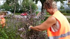 Mitarbeiterin des Grünflächenamts im Geraer Ring in Berlin Marzahn - Foto: rbb Inforadio/Dominik Lenz Mitarbeiterin des Grünflächenamts im Geraer Ring in Berlin Marzahn - Foto: rbb Inforadio/Dominik Lenz