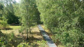 Im Naturpark Schöneberg in Berlin - Foto: rbb Inforadio/Dominik Lenz