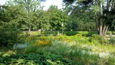 Ein Teich im Steppengarten des Berliner Tiergartens - Foto: rbb Inforadio/Dominik Lenz Ein Teich im Steppengarten des Berliner Tiergartens - Foto: rbb Inforadio/Dominik Lenz