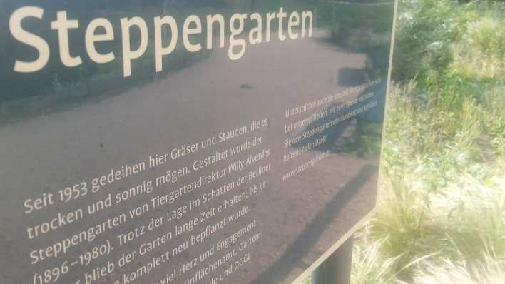 Steppengarten im Berliner Tiergarten - Foto: rbb Inforadio/Dominik Lenz Steppengarten im Berliner Tiergarten - Foto: rbb Inforadio/Dominik Lenz