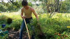 Bernd Krüger im Steppengarten des Berliner Tiergartens - Foto: rbb Inforadio/Dominik Lenz Bernd Krüger im Steppengarten des Berliner Tiergartens - Foto: rbb Inforadio/Dominik Lenz