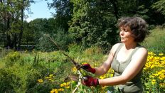 Gabriele Holst im Steppengarten des Berliner Tiergartens - Foto: rbb Inforadio/Dominik Lenz Gabriele Holst im Steppengarten des Berliner Tiergartens - Foto: rbb Inforadio/Dominik Lenz