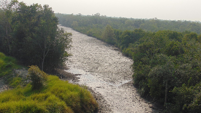 Die Sunderbans (Foto: Sandra Petersmann)