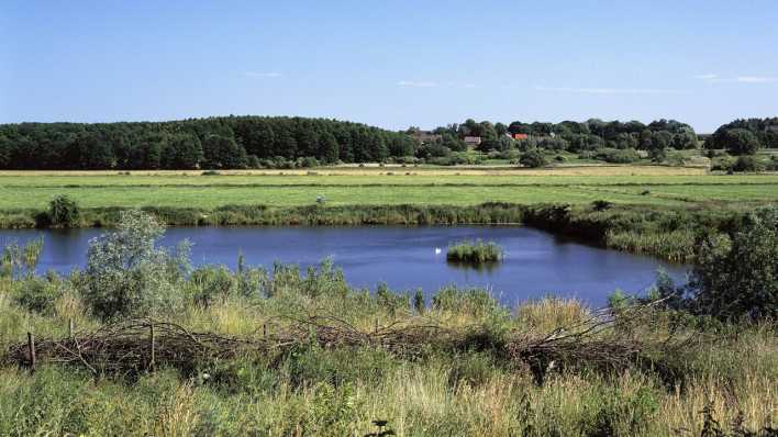 Landschaft im Biosphärenreservat Schorfheide-Chorin bei Greiffenberg (Quelle: imago images/Werner Otto)