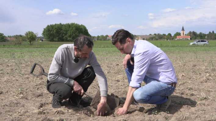Die Landwirte Arvid Salzwedel und Jürgen Frenzel auf dem Feld von Arvid Salzwedel in Rüthnick (Ostprignitz-Ruppin). (Quelle: rbb/Yasser Speck)